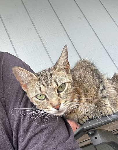 Misfit Spay and Neuter Clinic