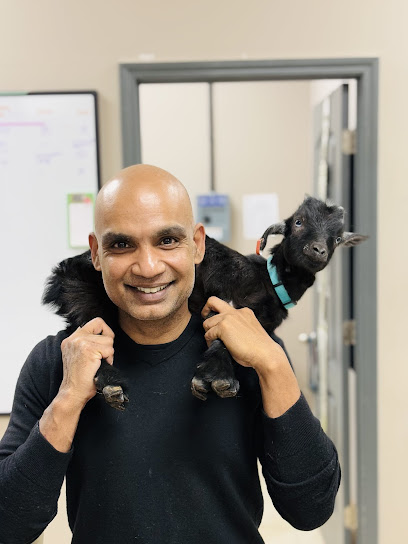 Care Pet Animal Hospital Care Pet Animal Hospital