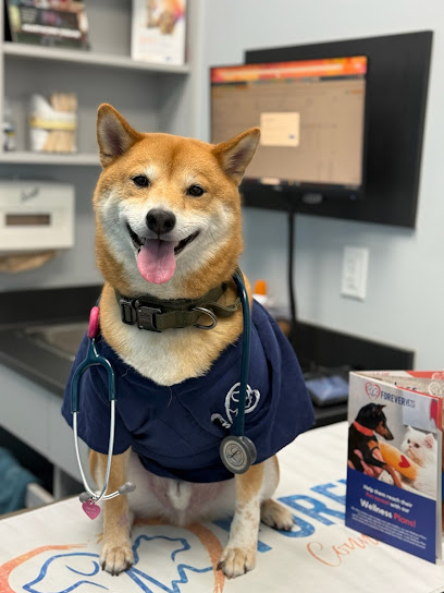 Forever Vets Animal Hospital in Riverside