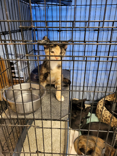 Mandarin Veterinary Clinic