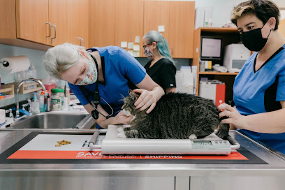 Intracoastal West Veterinary Hospital