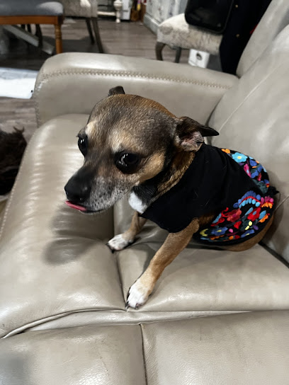 Tavares Crossroads Veterinary Clinic