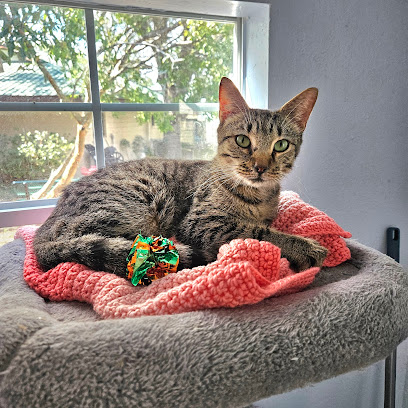 Leesburg Humane Society