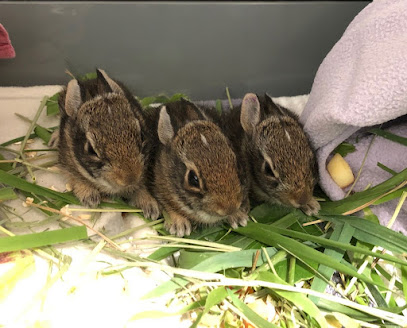 von Arx Wildlife Hospital von Arx Wildlife Hospital