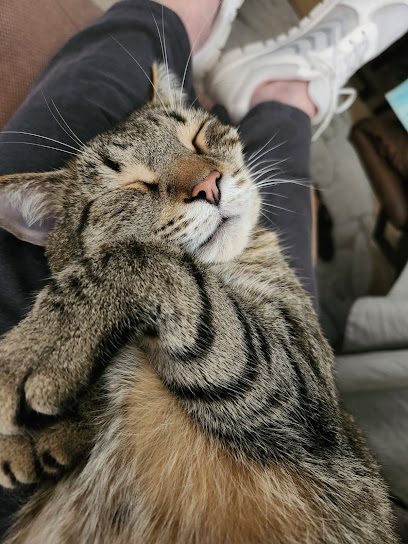 Pablo River Veterinary