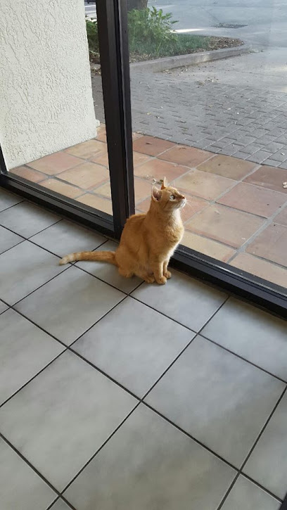 Village Veterinarian