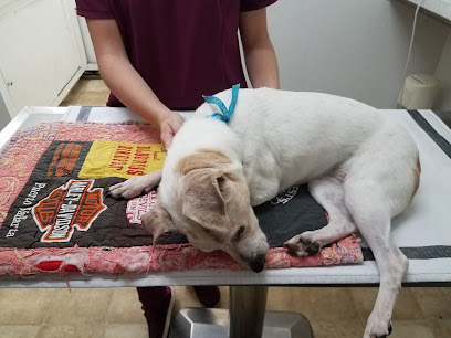 Leesburg 441 Animal Hospital