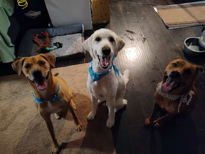 Emergency Pet Hospital: Binoneimi Amber DVM Emergency Pet Hospital: Binoneimi Amber DVM