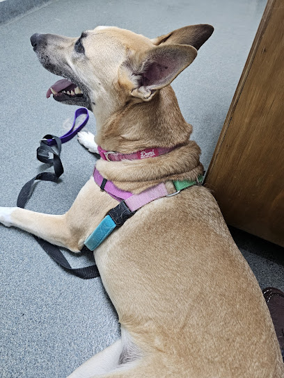 Pace Veterinary Clinic