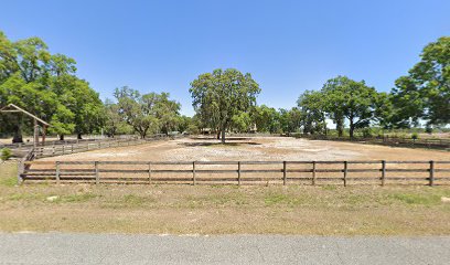 M3 veterinarian Services