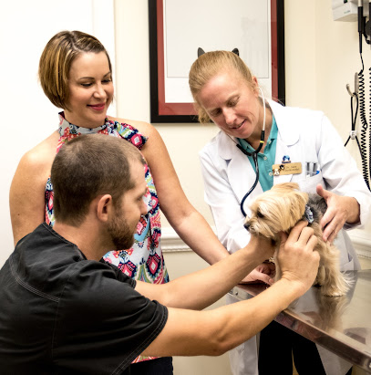 Town & Country Animal Hospital Town & Country Animal Hospital