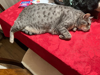 Leesburg Veterinary Hospital