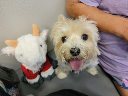 Lake Square Animal Hospital