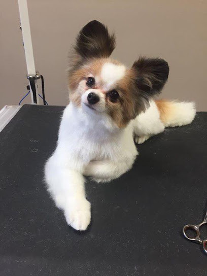 Posh Paws Posh Paws