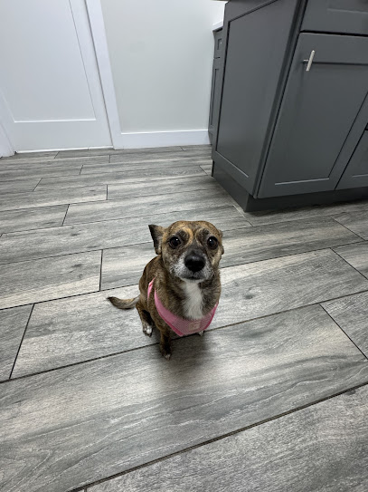 Naples Coastal Animal Hospital Naples Coastal Animal Hospital