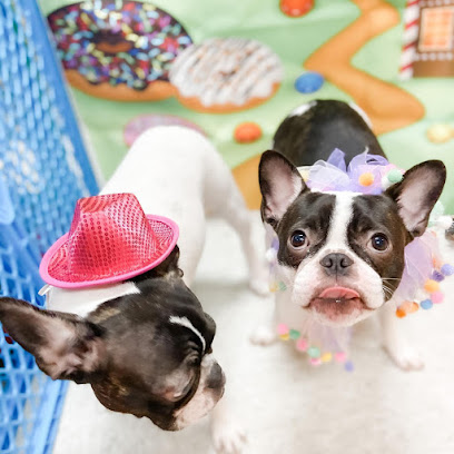 Preppy Pet Naples Preppy Pet Naples