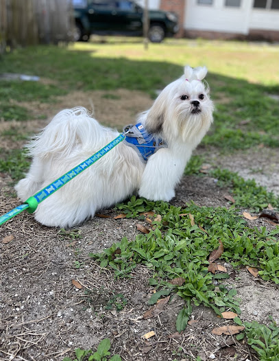 Tailwaggers Pet Spa & Boutique