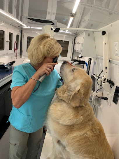 NAPLES MOBILE VET CLINIC, LLC NAPLES MOBILE VET CLINIC, LLC
