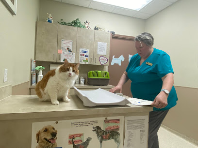 Eastside Animal Clinic Eastside Animal Clinic