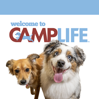 Camp Bow Wow Naples Camp Bow Wow Naples
