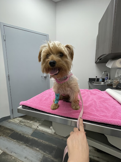 Cole Veterinary Clinic