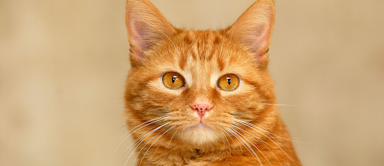 Parkway Veterinary Hospital Parkway Veterinary Hospital