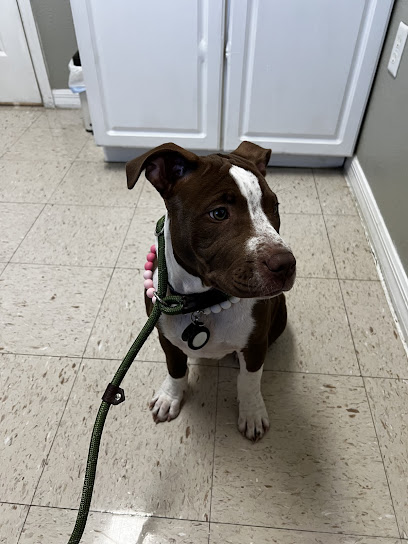 Baseline Animal Hospital