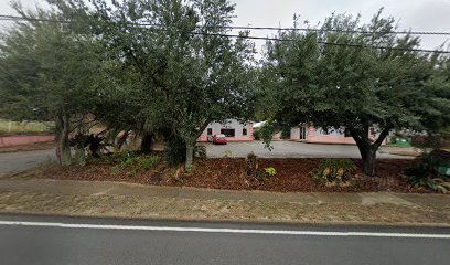 Niceville Animal Clinic: Davis Steve DVM Niceville Animal Clinic: Davis Steve DVM