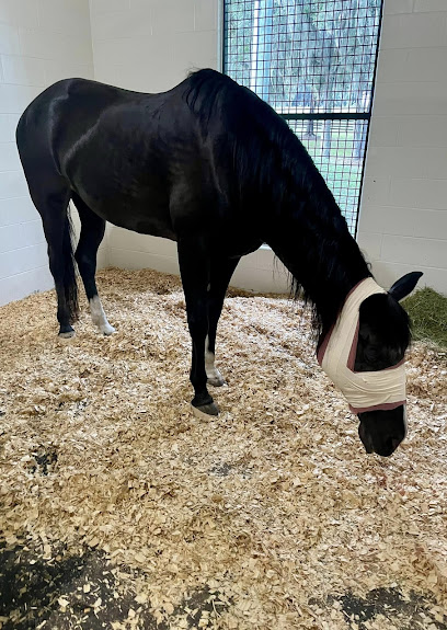 Ocala Equine Hospital