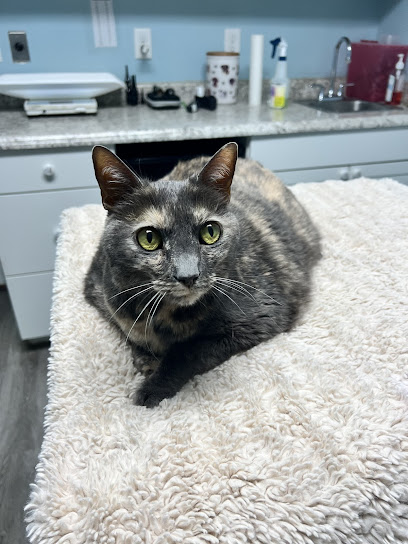 Paddock Park Animal Care Center