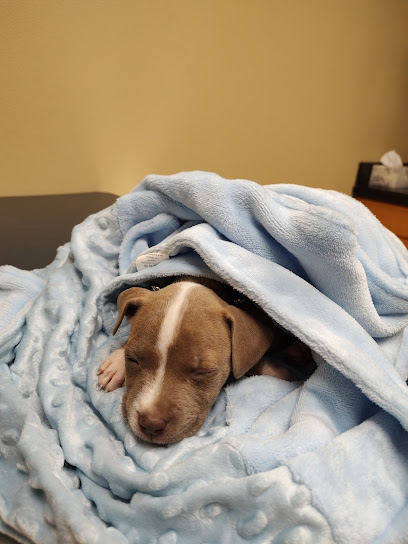 Ocala Veterinary Hospital