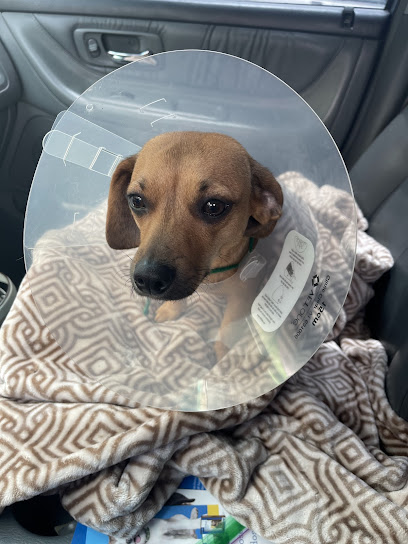 Paw Prints Veterinary Clinic