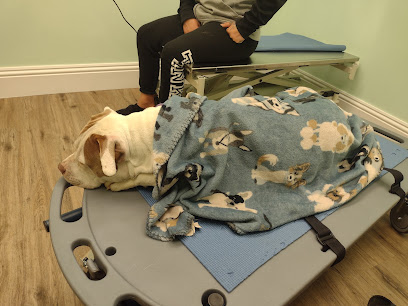 UrgentCareVet Panama City