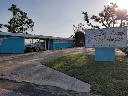 Bay Animal Hospital