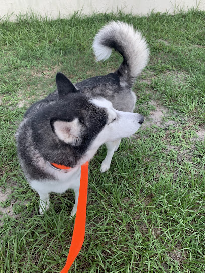 Southwest Ocala Veterinary Hospital