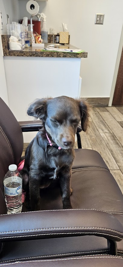 Critter Care of Panama City