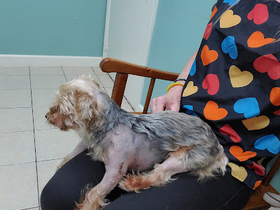 Skylark Animal Hospital