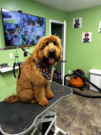 Animal Friends Pet Care Animal Friends Pet Care