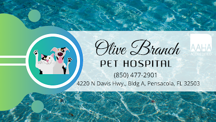 Olive Branch Pet Hospital