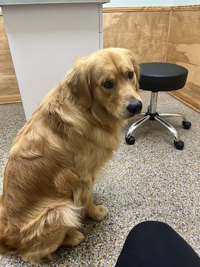 Westside Animal Hospital