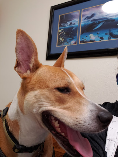 Pine Forest Animal Clinic