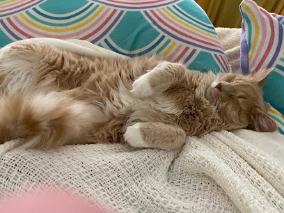 Cat and Dog Clinic of Pensacola