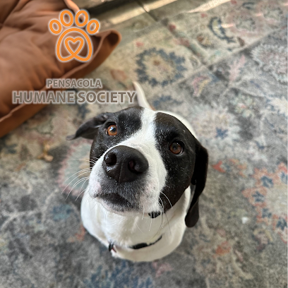 Pensacola Humane Society