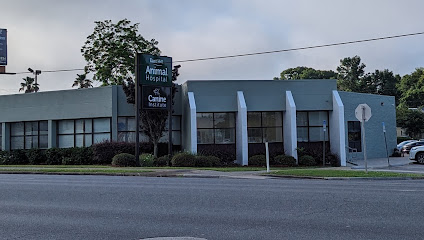 East Hill Animal Hospital