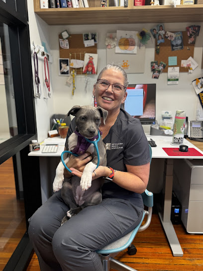 Gulf South Veterinary Dental Specialties