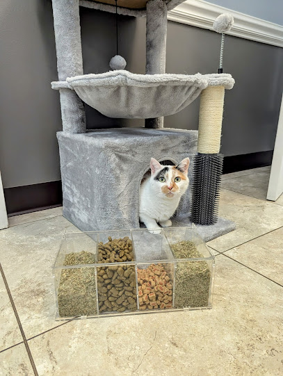 Navy Boulevard Animal Hospital