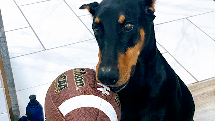 Walker Hometown Animal Care