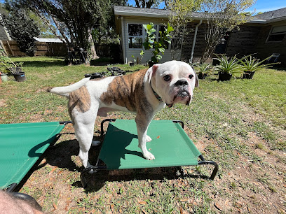 A Home Away From Home – Luxury Pet Boarding