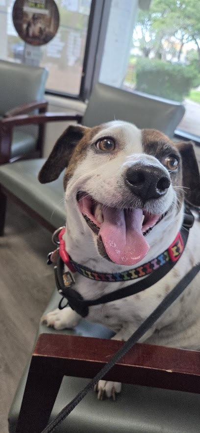 Sandy Paws Animal Hospital Sandy Paws Animal Hospital