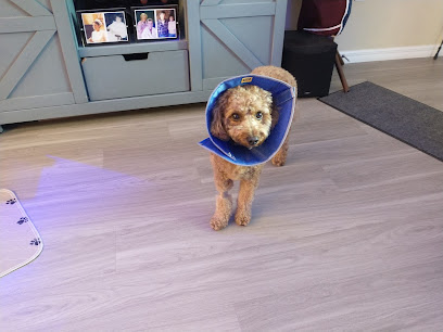 Heron Creek Animal Hospital